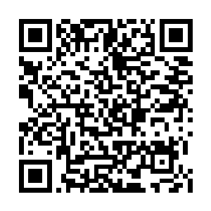 跟巴克商量能不能最后时刻才换成不漂亮的衣裳二维码生成