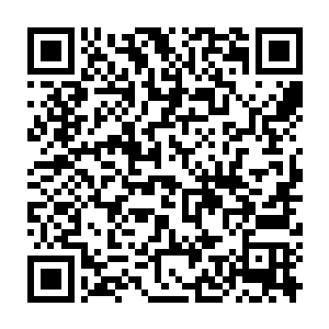 跟张秀兰想要的那种带大印花的布料或者别的纯色的布根本就没有二维码生成