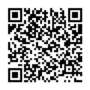 跟我们一起去看一看现在的小崽子们是什么水平吧二维码生成