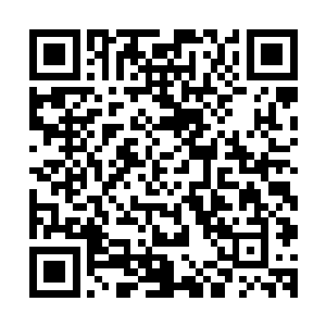 跟曾经那些倾慕她的男配们分在一起……曾经的谄媚殷勤不再二维码生成