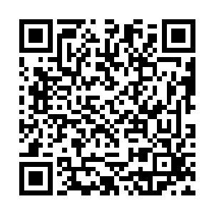 跟朴志轩的沟通对于王世子来说算是在岛上的小调剂二维码生成
