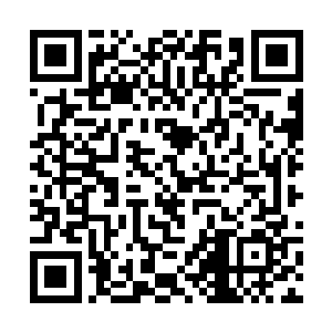 跟来之时的沉重严肃相比现在可谓是拨开云雾见青天二维码生成