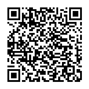 跟杨小花和杨大树一起去看了看任明辉这段时间给他们带过来的新鲜玩意二维码生成