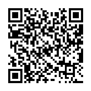 跟杨晨之前遇到的那两个丧心病狂的骗子如出一辙二维码生成