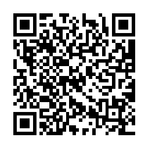 跟死了爸妈似的……不会是故意来给我找晦气的吧二维码生成