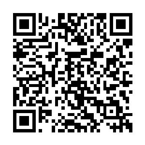 跟王家大长老身后的那一柄剑有着非常大的关系二维码生成