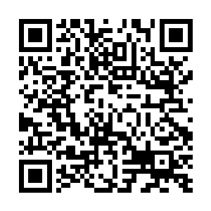 跟班之类的还会继续刷锅……总之被王忠骗的惨兮兮不说二维码生成