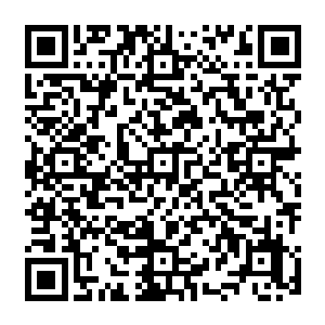 跟着你的那些船长有几个调头快的虽说渔获少了一点儿但是得益于价格的上扬也没有亏太多二维码生成
