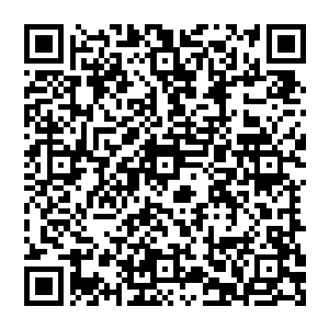 跟着凌菲出来的青云和凌雅在看到院子外面那黑压压一片的伤员和女人以及孩子的时候也呆住了二维码生成