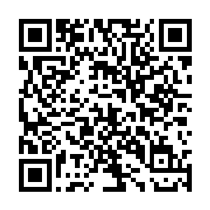 跟着凤瑾元一起到另一个房间的粉黛就又跑了回来二维码生成