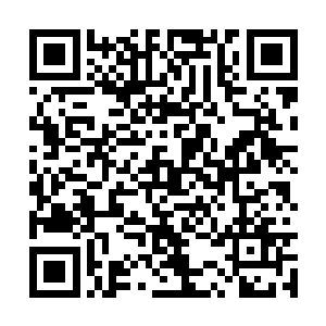 跟着和几道冰锥冰箭一起向蛟龙沉没的地方攻过去二维码生成