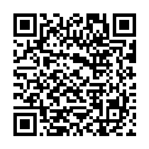 跟着四人就各占住了小湖的东西南北四个方位开始游二维码生成