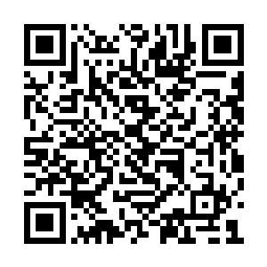 跟着宗门的仙人依序进入第七天河仙府外围之前二维码生成