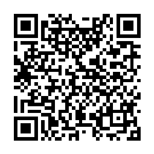 跟着来的另外一个贴身侍卫刑斯伯瞧着眼前的状况二维码生成