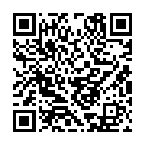 跟着白衣少年们一路走到了昨夜来过一次的大房子二维码生成