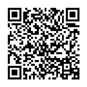 跟着秦洛过来的村长和忙着撑犁拉牛的老孙头都撒蹦子往这边跑二维码生成