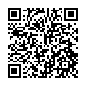 跟着自己进入到光门的众修士都已经不见了踪影二维码生成