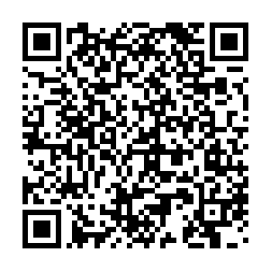 跟秦方从那个曰本女人那里得到的消息直接对不上号了……这样的现实二维码生成