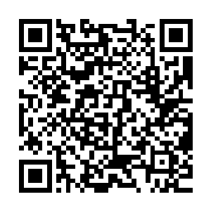 跟茶发的男孩儿一起披着一件半新不旧的男士大衣等着看日出二维码生成