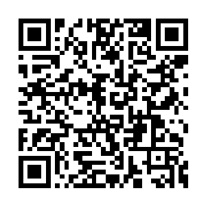跟踪的间殿弟子怀疑火焰流寇的大本营就在那里二维码生成