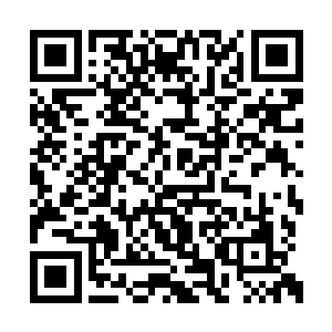 跟踪着两个帝君高手准备寻找机会干掉他们两个二维码生成