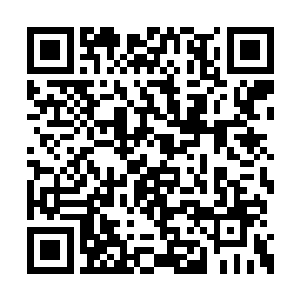 跟这些伴随飞行的战机编队进行了模拟空战演练二维码生成