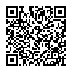 跟迷途的羔羊一样看着公堂上的王学益等主审官二维码生成