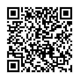 跟队记者虞咏婷还是问出了这个所有人都关心的话题二维码生成