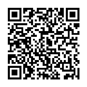 跟随在他身后的还有几名同样着黑色服饰的青年男女二维码生成