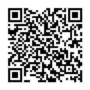 跟随在海神殿殿主身后的那十几名强者身上穿的都是统一服饰二维码生成