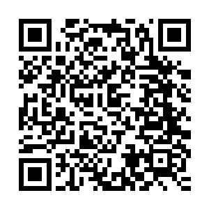 跟随延山卫前行的仆散浑也始终保持着旺盛的斗志与作战的决心二维码生成
