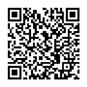 跟随杀手任务的那些佣金一起流入到秦方的账户里面二维码生成