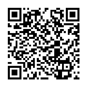 跟随者龙华皇子的修行者并没有出手帮助龙华皇子二维码生成