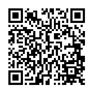 跟雪狼关系密切的龙战也忙着重新部署部落的防卫还有清点伤员二维码生成