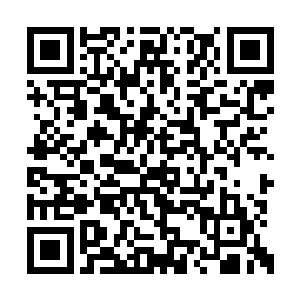 跟龙战还有部落的几个主事的人说起了盐的事情二维码生成