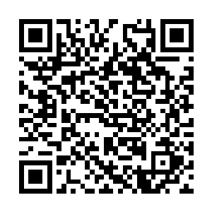 跪在半空中的几只七阶魔兽目瞪口呆的看着这一幕二维码生成