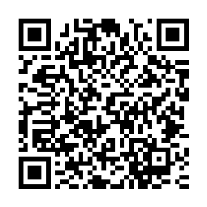 跪在地上的李氏成员除了不知轻重的的少年和懵懂无知的稚童二维码生成