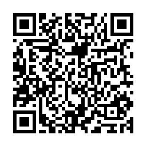 跪在地上的杨先道看到火墙后面的场景整个人是瘫软在了地上二维码生成