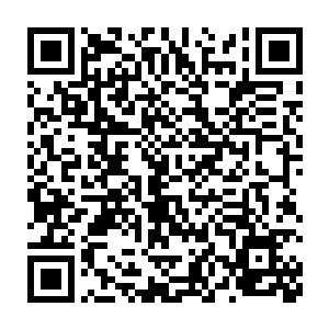 跪在堂下的下属用着毫无起伏的声线报告着本就在意料之中的结果二维码生成