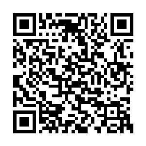 路上大伙儿一起分析了这女孩儿背后师门的事儿二维码生成