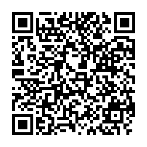 路上经历了很多种灵兽的栖息地后来到了一处简单的木质房屋面前二维码生成