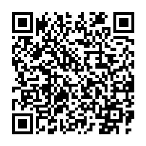 路上要是遇到什么没有见过的果子或者植物都小心的采集下来带回去二维码生成