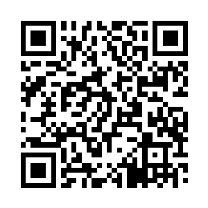 路掌柜目不转睛的盯着下方那六只大棕熊二维码生成