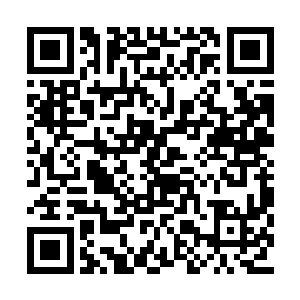 路易说过这种自毁装置会有一个延时反应时间的二维码生成