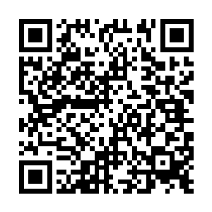 路西法的脸上便插满了无数细小如针的袖珍版箭矢二维码生成