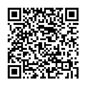 路边之人显然被华夏九刚才庚金刺和冰箭术所震慑二维码生成