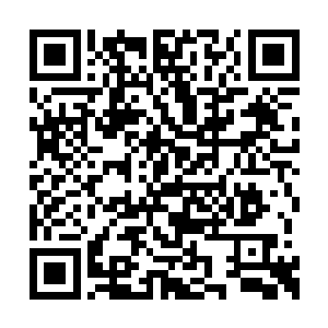 路过的内监侍女们看见这游动的小蛇都吓了一跳二维码生成