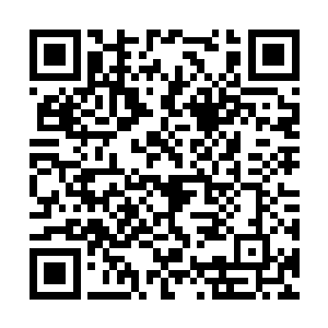 路遥看着一枚枚火球竟然越过了她先冲入尸群之中二维码生成