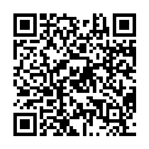 跳尸进价到游尸就能像个人类一样正常的生活在阳光下二维码生成