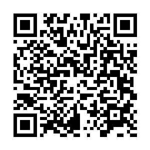 跳窗下去一定会被那些喘着粗气双眼发红的贱民们抓住二维码生成